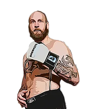 Robert Helenius Boxrec record link & bouts